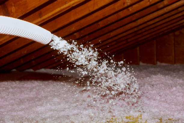 Best Insulation Contractors for Homes  in Gardendale, TX