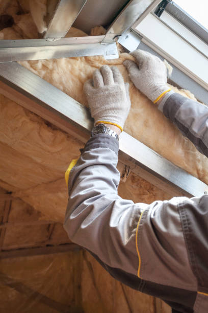 Best Insulation Contractor Near Me  in Gardendale, TX