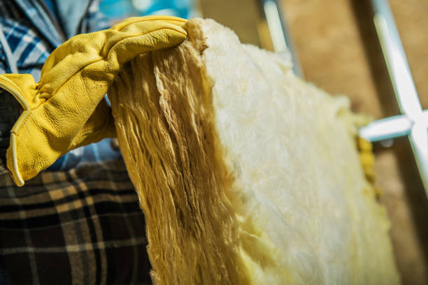 Best Soundproof Insulation Installation  in Gardendale, TX