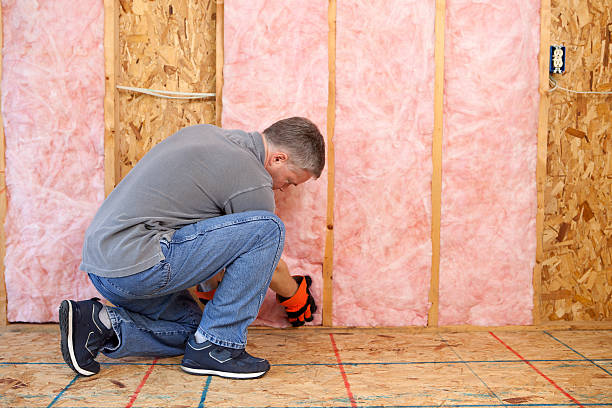 Best Insulation Inspection Services  in Gardendale, TX