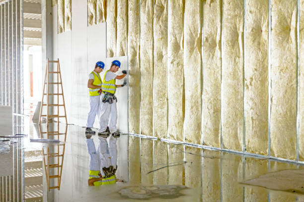 Trusted Gardendale, TX Insulation Contractor Experts